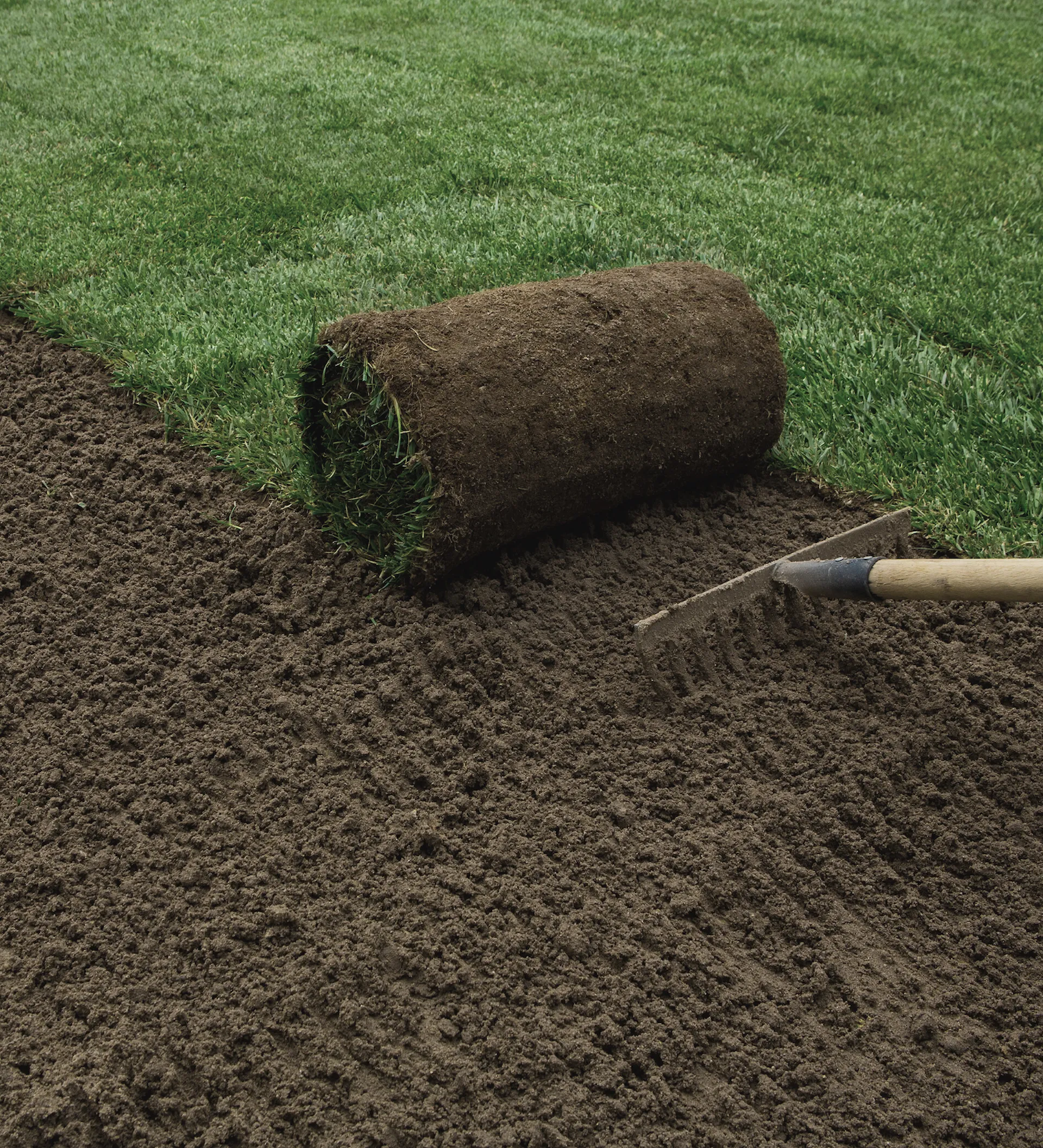Gramado bonito e bem cuidado