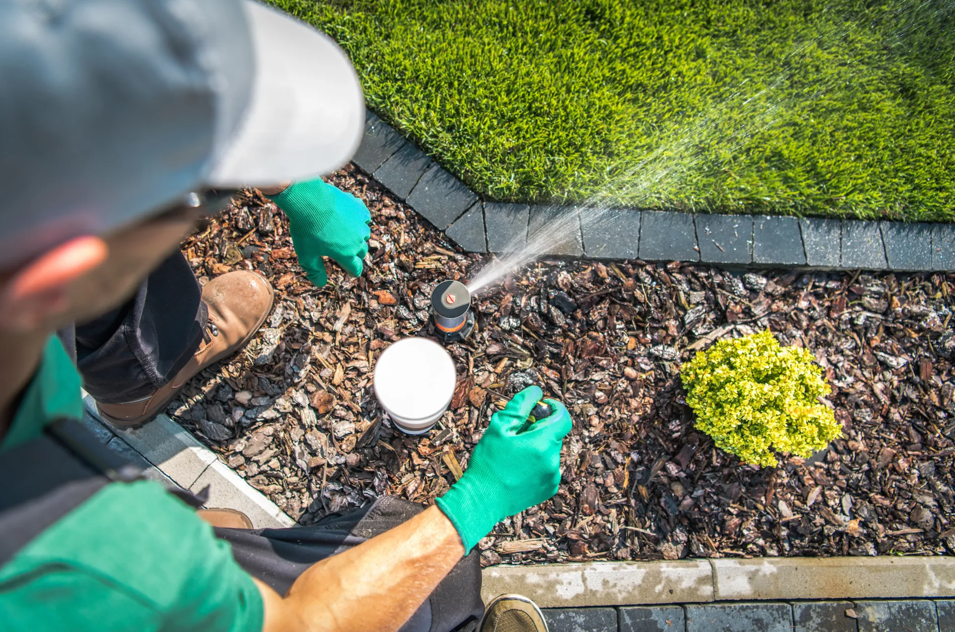 Melhor época para plantar grama