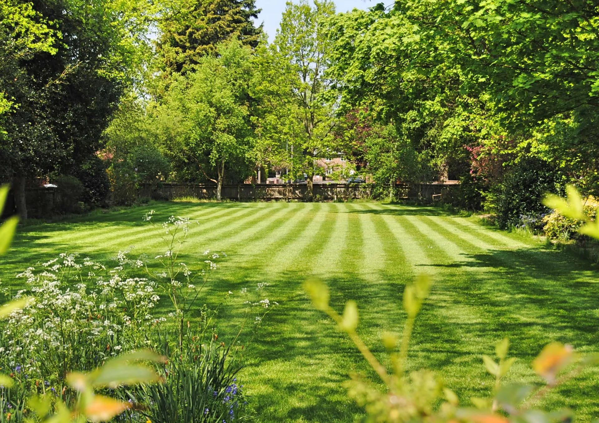 Paisagista profissional