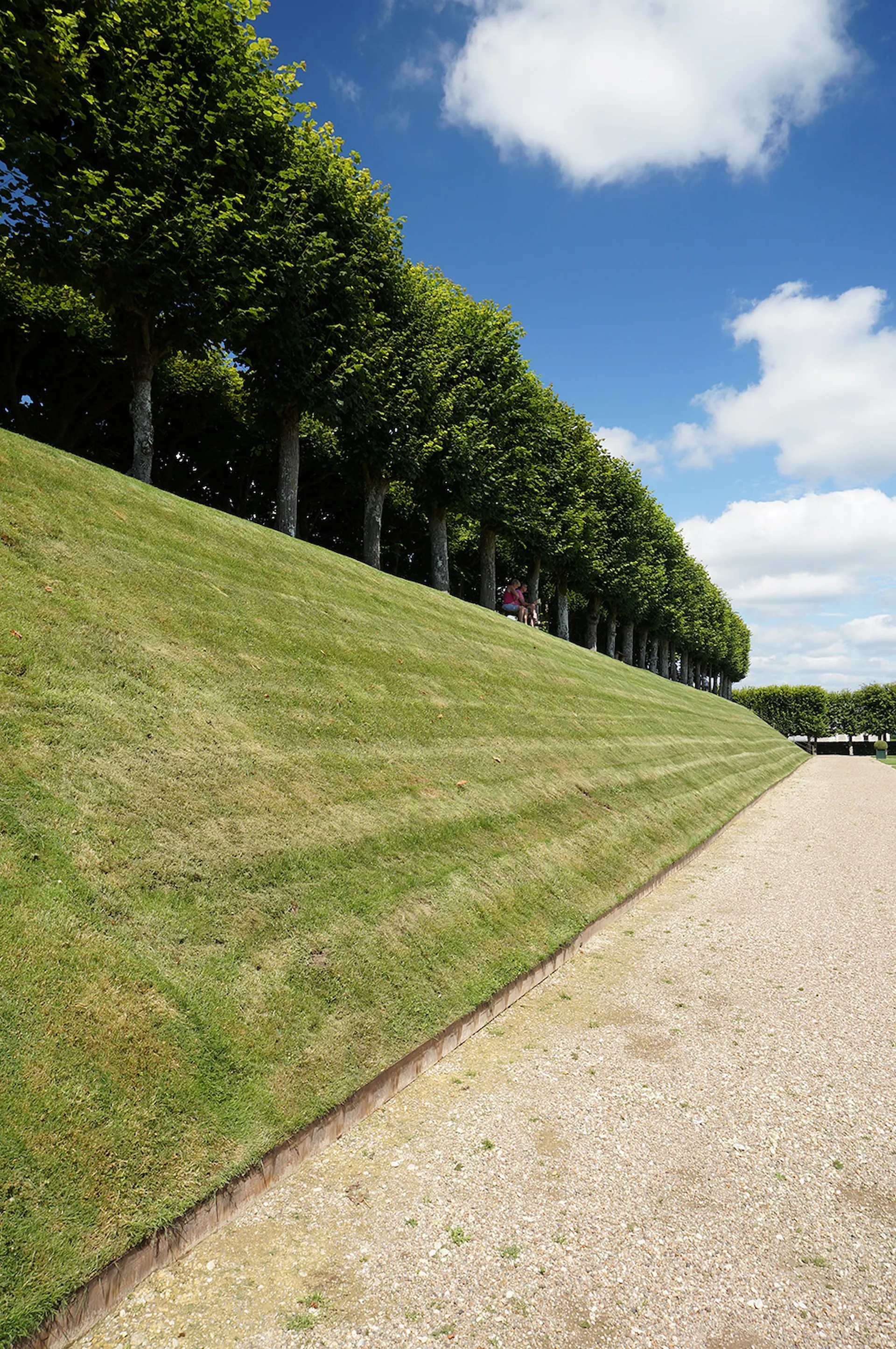 Pedras grandes no paisagismo