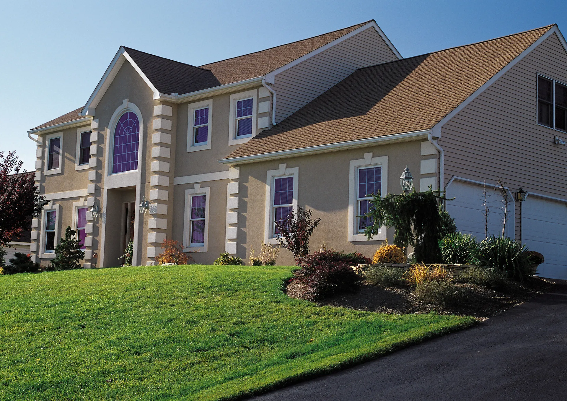 Árvore na área de piscina